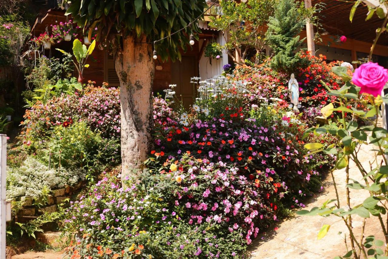 Soul Pnb Homestay Đà Lạt Exterior foto